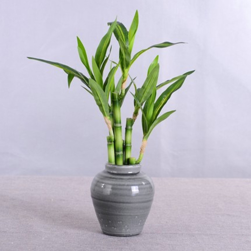 New 40cm rFtificial Lucky Bamb - Desk Setup At Home recension och pris